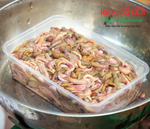 Đống hộp rươi đem cấp đông, bảo quản chất lượng rươi tốt nhất
