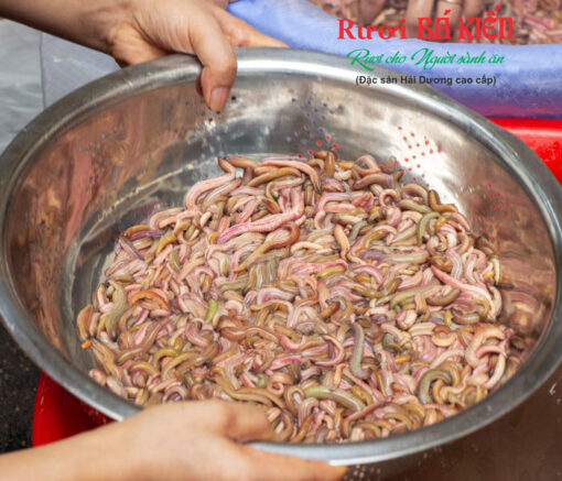 Sơ chế sạch rươi trước khi đem đi cấp đông