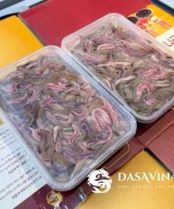 Rươi cấp đông Tứ Kỳ Hải Dương