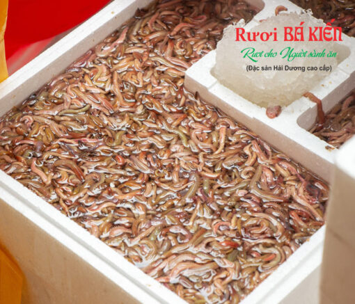 Rươi tươi được đóng thùng xốp để dễ dàng vận chuyển