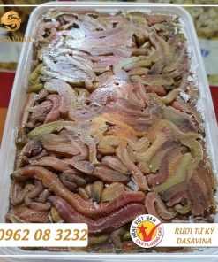 Rươi cấp đông Bá Kiến chất lượng vượt thời gian
