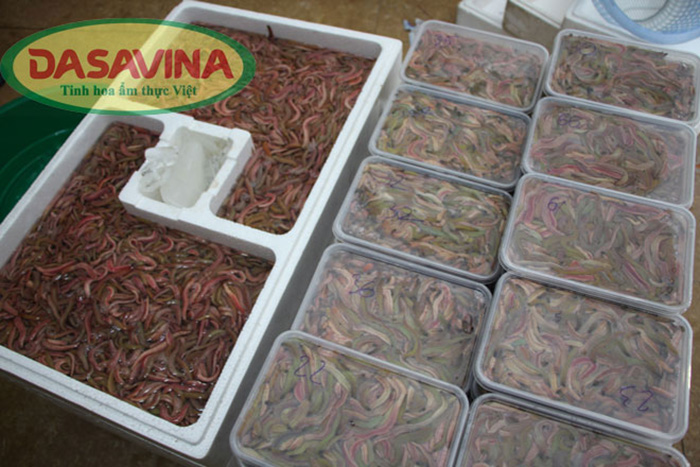 Rươi tại DASAVINA được sản xuất và đóng gói đảm bảo vệ sinh, an toàn và giữ được hương vị tự nhiên của những con rươi biển ngon nhất.