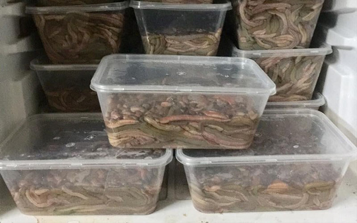 Tìm hiểu các phương pháp bảo quản rươi phổ biến.