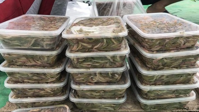 Cách bảo quản rươi