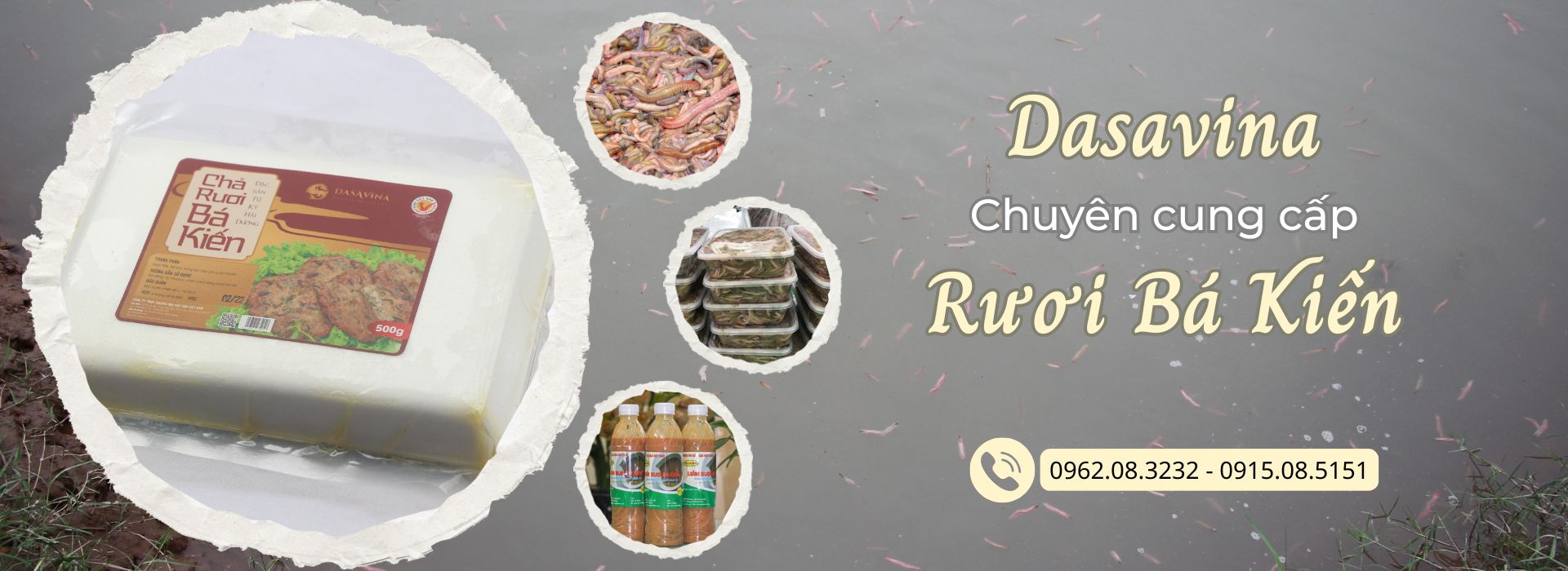 Banner rươi Bá Kiến