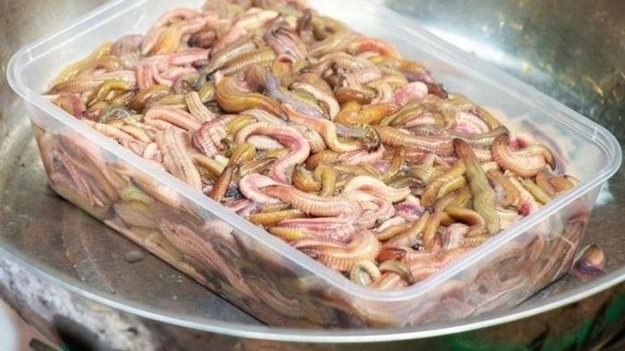 Sơ chế rươi đông lạnh giúp các món ăn đảm bảo an toàn hơn