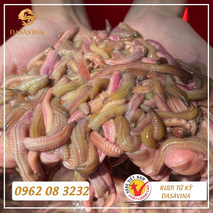 Rươi đông lạnh có thể giữ được chất lượng tốt nhất trong vòng từ 2 đến 3 tháng