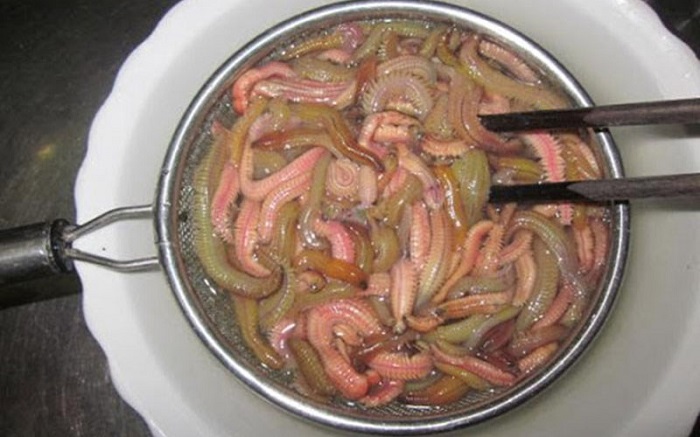 Việc hiểu rõ cách làm sạch rươi đúng chuẩn sẽ giúp giữ được hương vị tươi ngon