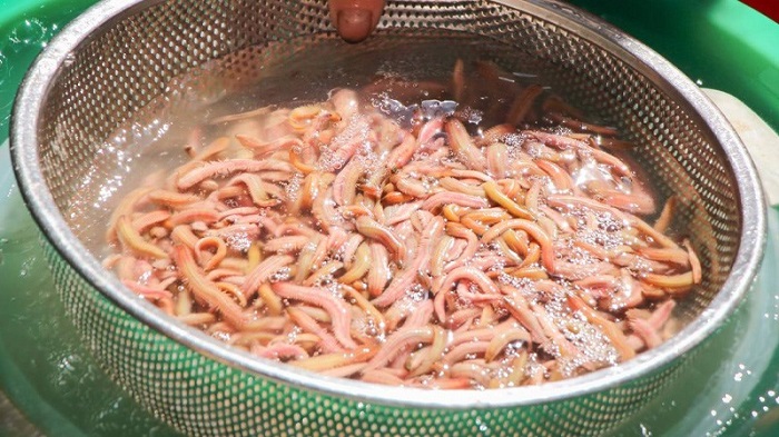 Không nên sơ chế rươi bằng nước nóng vì sẽ làm vỡ rươi